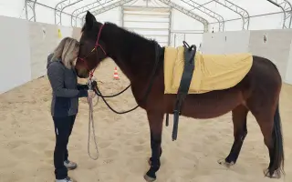 Dôstojný domov pre tichých terapeutov - liečia a menia sny