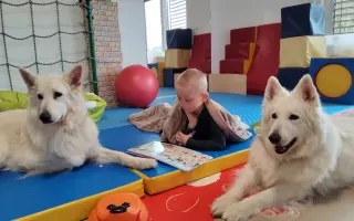 Pomôžme Alexkovi napredovať napriek autizmu a epilepsii