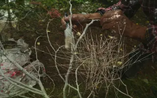 Landart Kalendár 2026: umelecká spolupráca Jaroslava Beliša a Kashe Potrohosh