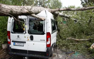 Pomôžme kajakárom. Strom im rozdrvil klubové auto aj prívesný vozík na kajaky.
