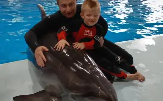 Darujme Timkovi delfinoterapiu