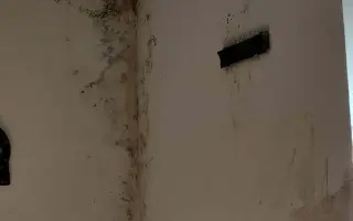 Pomôžme Zlatici zachrániť domov pre štyri deti