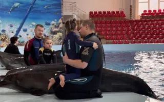 Darujme Sofii delfínoterapiu