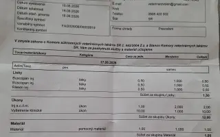 Pomôžme Tejkovi podstúpiť operáciu močového mechúra
