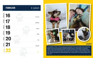 Hnúšťanské labky| Získajte kalendár za dobrý skutok pre opustené psíky