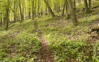 Objavme spoločne skryté krásy Slovenského krasu z obce Rozložná