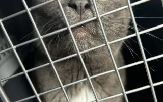 Pomôžte nám dlhodobo pomáhať pouličníkom