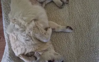 Pomôžte Johnymu v boji o zdravie