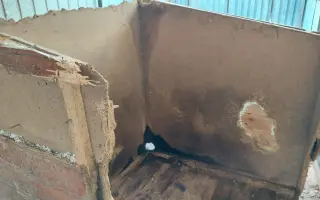 Pomôžte nám vyrobiť búdy pre psíkov v útulkoch