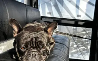 Pomôžme Teovi získať šancu na život bez bolesti