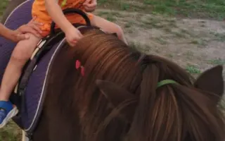 Podporte Timotejkovu cestu za hlasom