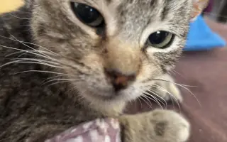 Pomôžme malému Oskarkovi znovu sa postaviť na labky