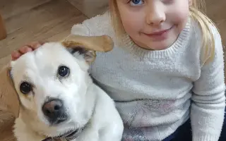 Pomôžte Penny zasa behať – láska na štyroch labkách