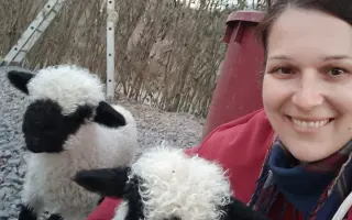 Spoločne pre Budmerice: Ovečky pre minifarmu, ktoré spájajú generácie