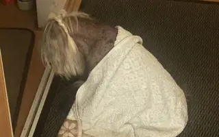 Pomôžme Rúfuskovi zabezpečiť potrebnú operáciu