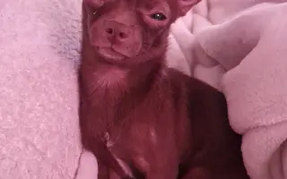 Darujme Lujze plnohodnotný život