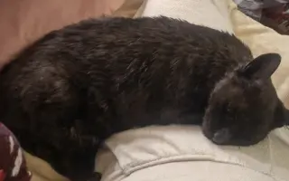 Laruška bojuje o život – pomôžme jej zvíťaziť nad bolesťou