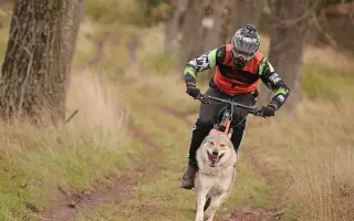 Podporte Bodrika na jeho ceste