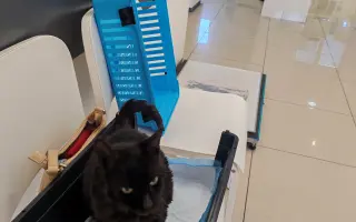 Pomôžme Mačičkám u Larky zvládnuť náročné obdobie