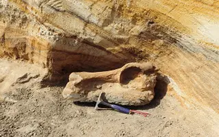 Pomôžte nám cestovať v čase a lepšie spoznať Slovensko spred 2,5 miliónov rokov