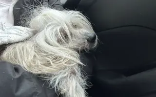 Pomôžme Rúfuskovi zabezpečiť potrebnú operáciu