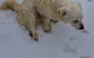 Pomôžte Johnymu v boji o zdravie