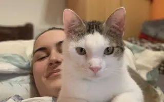 Salty bojuje o svoj tretí život – pomôžme mu vyhrať boj s FIP