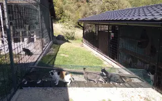 Horský Ranč – domov pre zvieratá, ktoré nikto nechcel