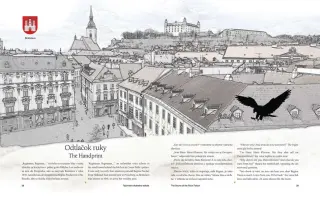 Tajomstvo skalného sokola - podporte vznik slovenskej a anglickej AUDIOknihy