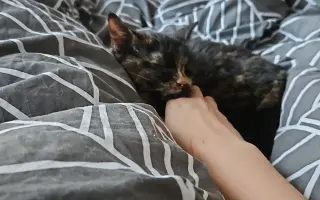 Pomôžte Vande dobehnúť do cieľa