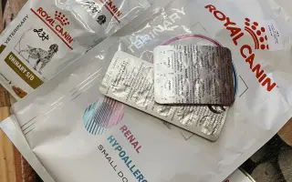 Pomôžme Luckymu k dôstojnému životu bez bolesti