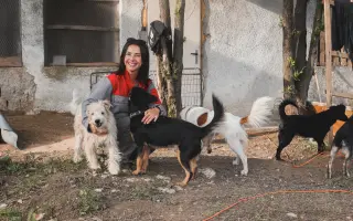 Pomôžte nám udržať  Farmu Happy - bezpečné miesto pre zvieratá