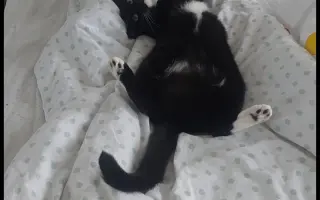 Pomôžme Mikešovi znovu sa nadýchnuť