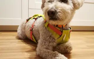 Pomôžte nám zachrániť Mexika