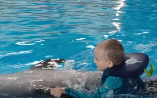 Pomôžme Petríkovi ísť na delfinoterapiu, ktorá mu pomohla otvoriť sa svetu