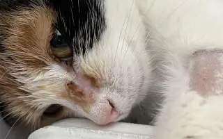 Zachráňme Sašenku bojujúcu s tumorom mäkkých tkanív