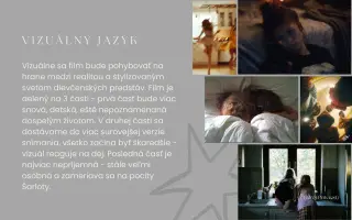 Podporte vznik bakalárskeho filmu - FARBOMENA