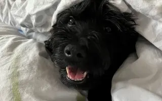 Pre Kyrka, ktorý bojuje s vážnou rakovinou