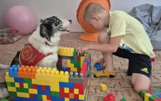 Pomôžte nám doplatiť interaktívnu podlahu FlySky pre deti s autizmom