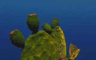 Podporte vydanie LP platne Ota Hudeca Songs for the Prickly Pear