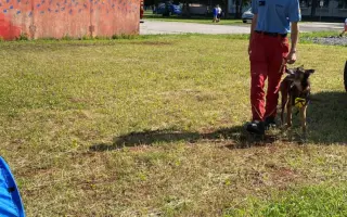 Kenay je záchranárom celý svoj život. Teraz potrebuje záchranu on.