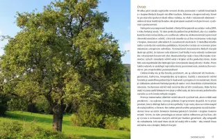 Podporte vydanie knihy Pomológia Bielych Karpát I. Hrušky