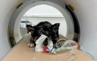 Pomôžme Filipkovi v boji s nádorom