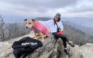 Nina, pes ktorý zmenil život mnohým