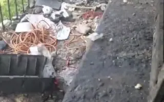 Pomôžme Jessiemu opäť sa postaviť na labky bez bolessti Pomôžme Jessiemu opäť sa postaviť na labky bez bolessti