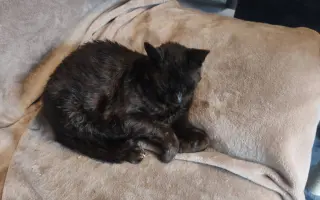 Laruška bojuje o život – pomôžme jej zvíťaziť nad bolesťou