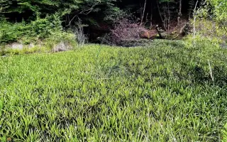 Vytvorme Ťahanovske jazierka na zadržiavanie daždovej vody