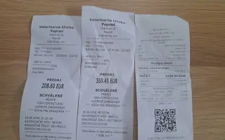 Pomôžme Maxovi znovu chodiť 🐾