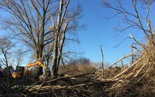 Pomôžte somárikovi Aladárovi získať štiepkovač pre náš Vidiecky sen
