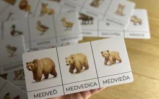 Pomôžte Hravému detstvu rásť – tvoríme učenie, ktoré deti baví